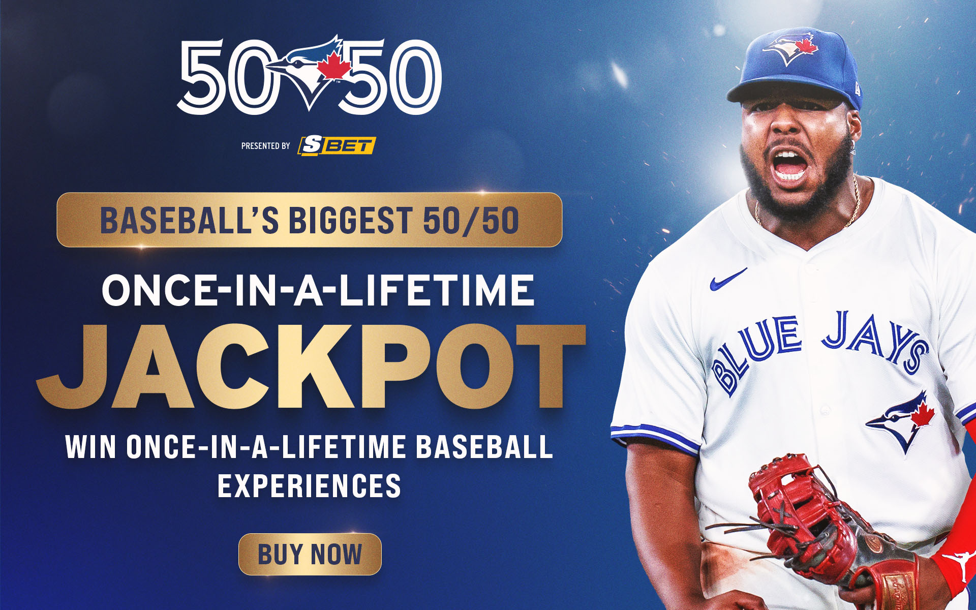 Blue Jays 50/50 — Web Asset