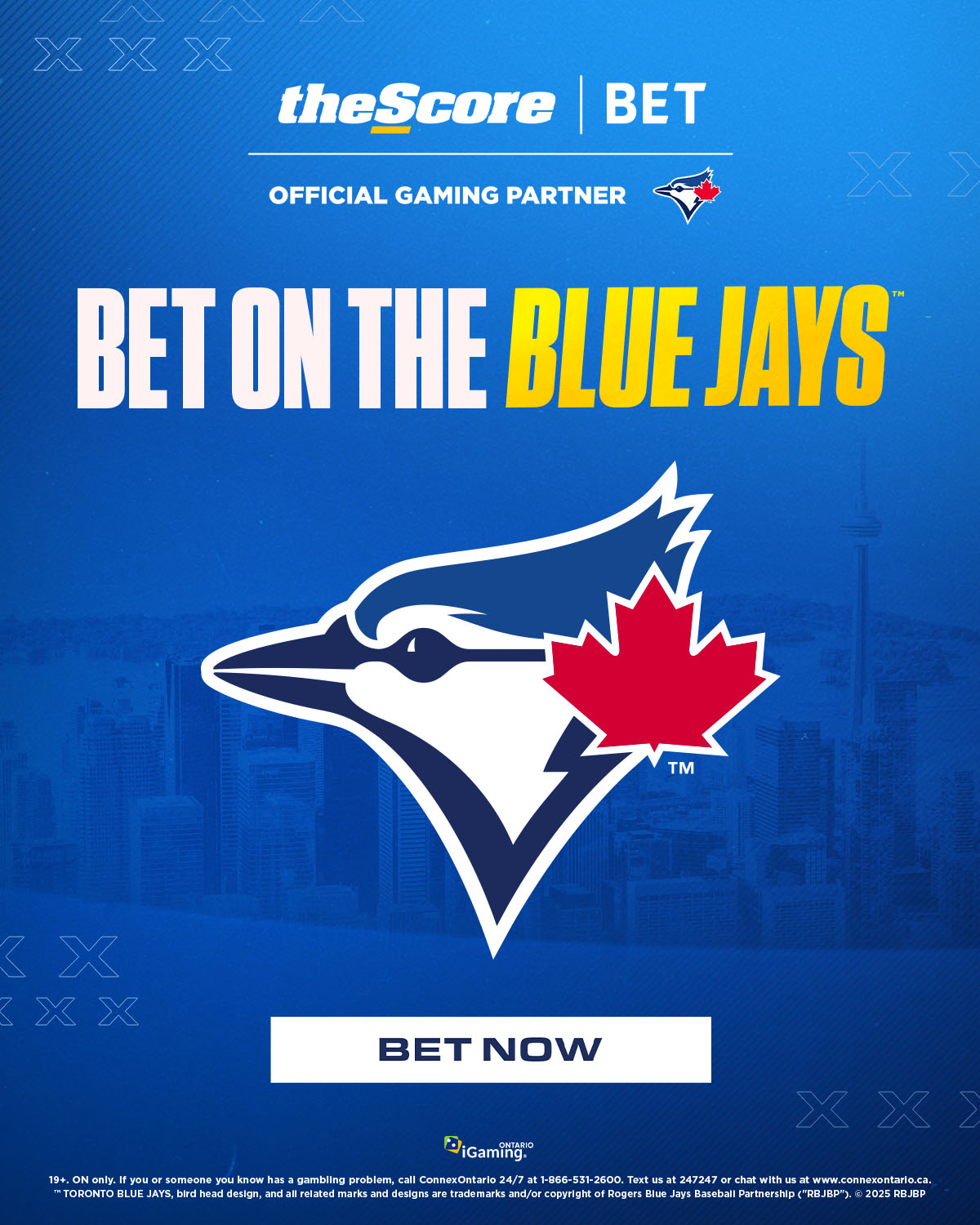Bet on the Blue Jays portrait