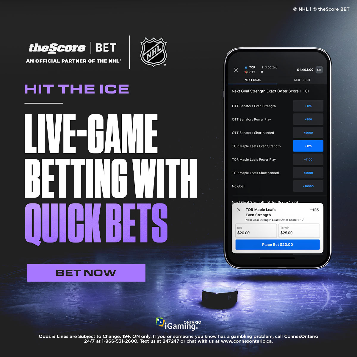 Quick Bets NHL